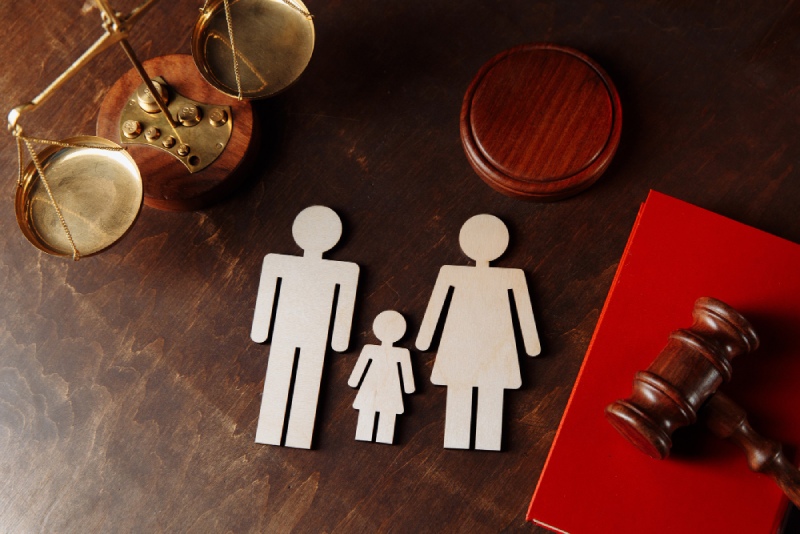 Family-Lawyer-vs-Paralegal
